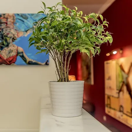 Elegant Supercentral Appartamento *