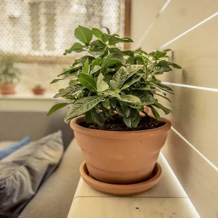 Elegant Supercentral Appartamento