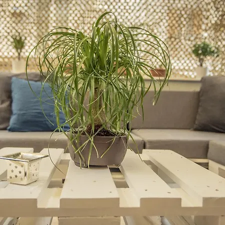 Elegant Supercentral *