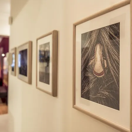 Daire Elegant Supercentral Selanik